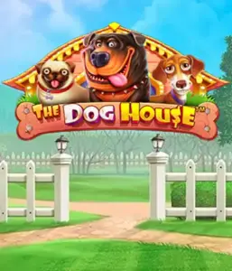 Experience Pragmatic Play's The Dog House, featuring an adorable experience among playful pups. Engage in features including multipliers, aimed at delivering exciting wins. Ideal for pet lovers a lighthearted setting with a chance for big wins.